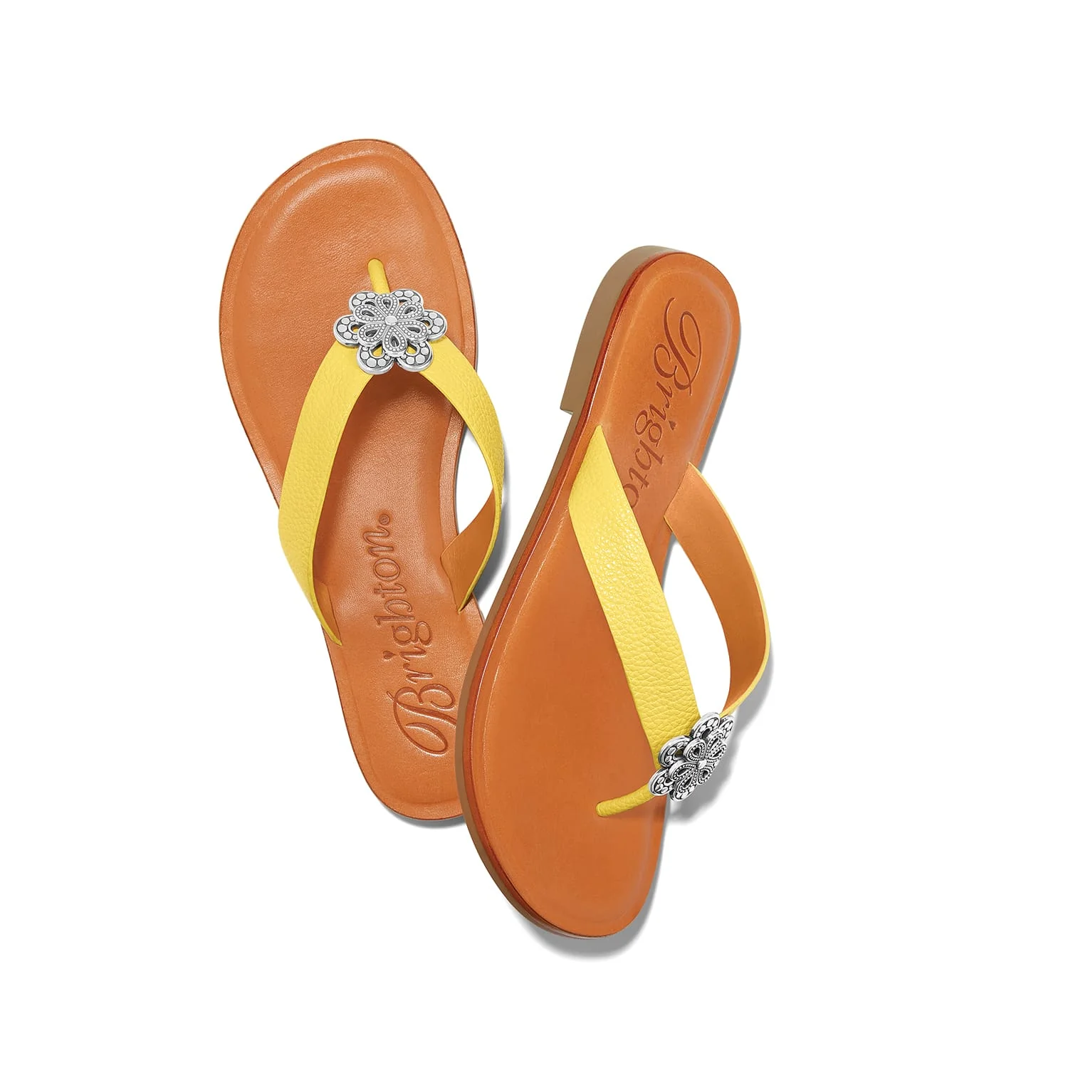 Aster Flower Thongs - Image 10