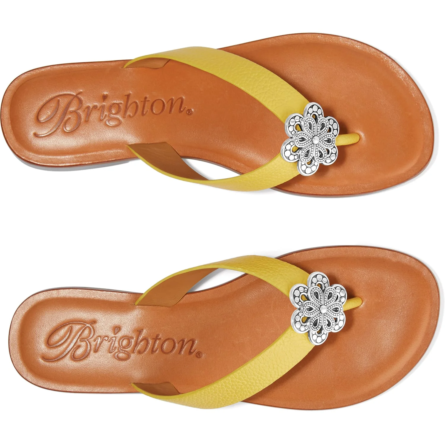 Aster Flower Thongs - Image 11
